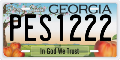GA license plate PES1222