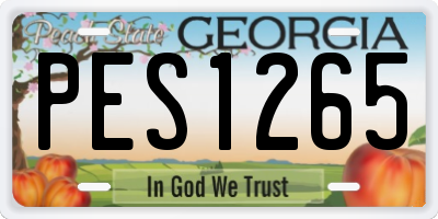 GA license plate PES1265