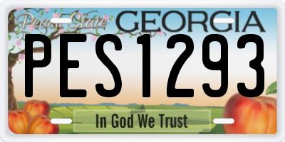GA license plate PES1293