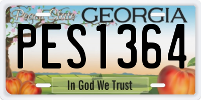 GA license plate PES1364
