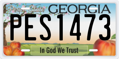 GA license plate PES1473