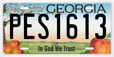 GA license plate PES1613
