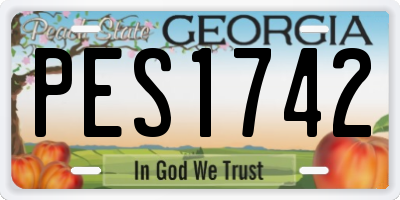 GA license plate PES1742