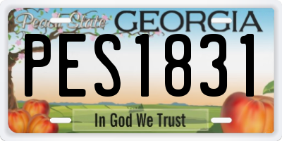GA license plate PES1831