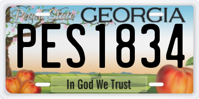 GA license plate PES1834