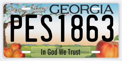 GA license plate PES1863