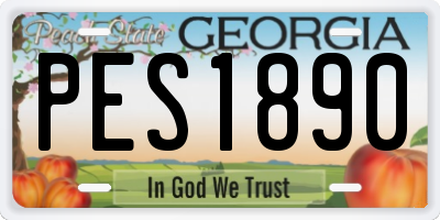 GA license plate PES1890