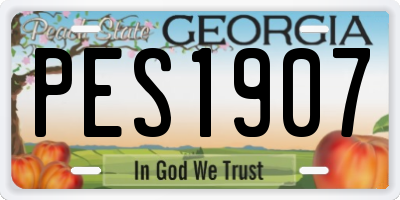 GA license plate PES1907