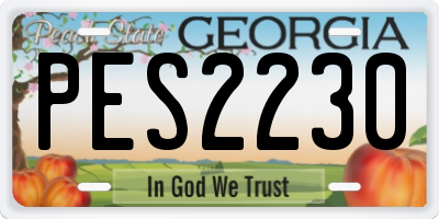 GA license plate PES2230