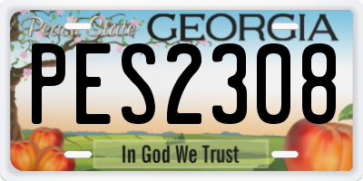 GA license plate PES2308