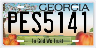 GA license plate PES5141