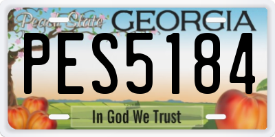 GA license plate PES5184