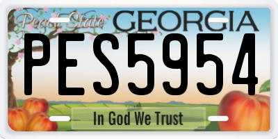 GA license plate PES5954