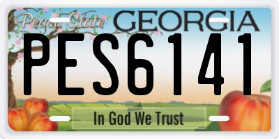 GA license plate PES6141