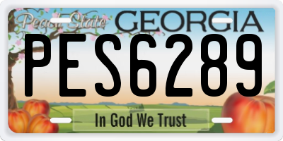 GA license plate PES6289