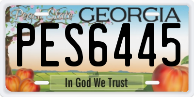 GA license plate PES6445