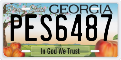 GA license plate PES6487