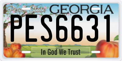 GA license plate PES6631