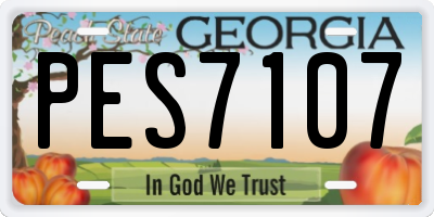 GA license plate PES7107