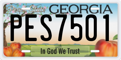GA license plate PES7501