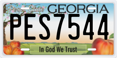 GA license plate PES7544