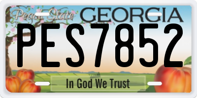 GA license plate PES7852