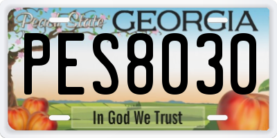 GA license plate PES8030