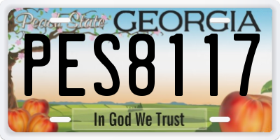 GA license plate PES8117