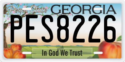 GA license plate PES8226