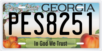 GA license plate PES8251
