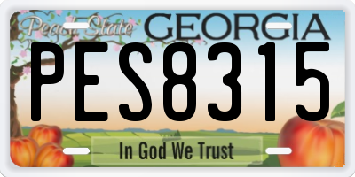 GA license plate PES8315