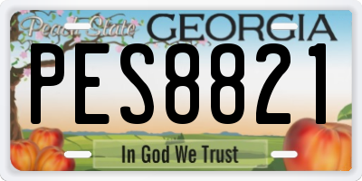 GA license plate PES8821