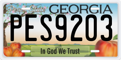 GA license plate PES9203