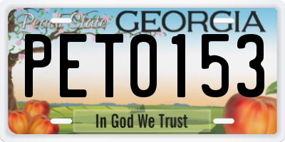 GA license plate PET0153