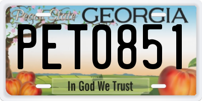 GA license plate PET0851