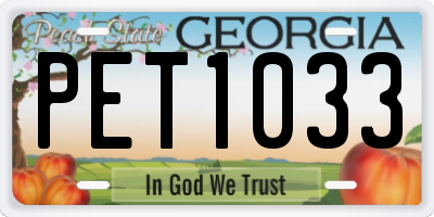GA license plate PET1033