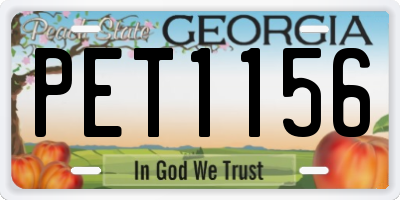 GA license plate PET1156