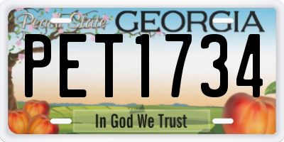 GA license plate PET1734