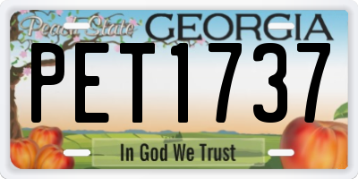 GA license plate PET1737
