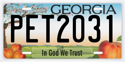 GA license plate PET2031