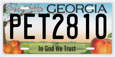 GA license plate PET2810