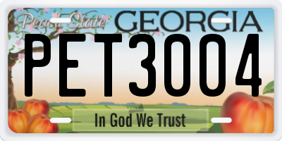 GA license plate PET3004