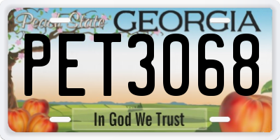 GA license plate PET3068