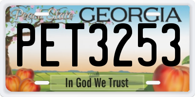 GA license plate PET3253