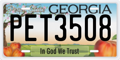 GA license plate PET3508