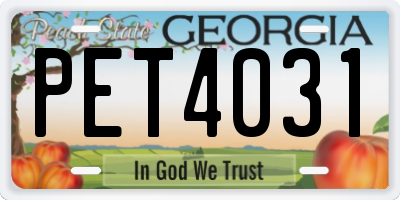 GA license plate PET4031