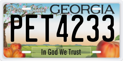 GA license plate PET4233