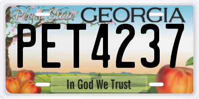 GA license plate PET4237