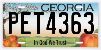 GA license plate PET4363