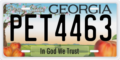 GA license plate PET4463